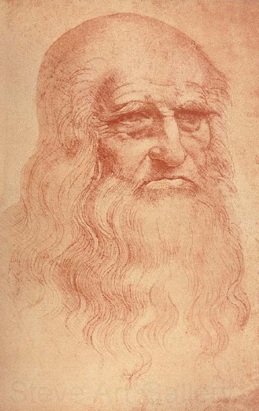 LEONARDO da Vinci Self Portrait Norge oil painting art
